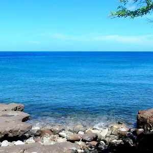 paradise-bay.comcaribbean.com/